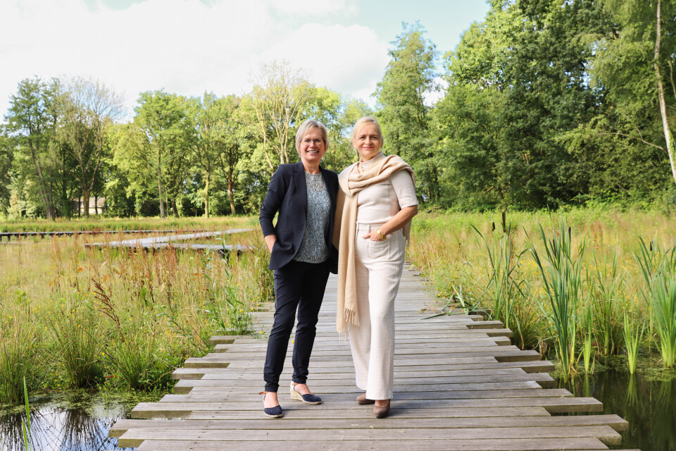 Blogs Raad van Bestuur