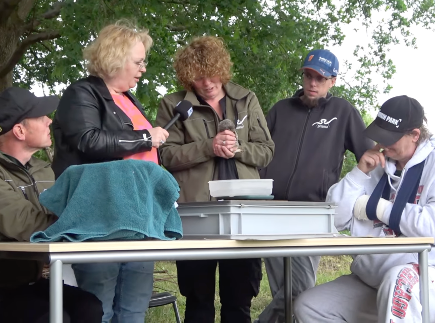 Prisma op tv met jonge uilen op Landpark